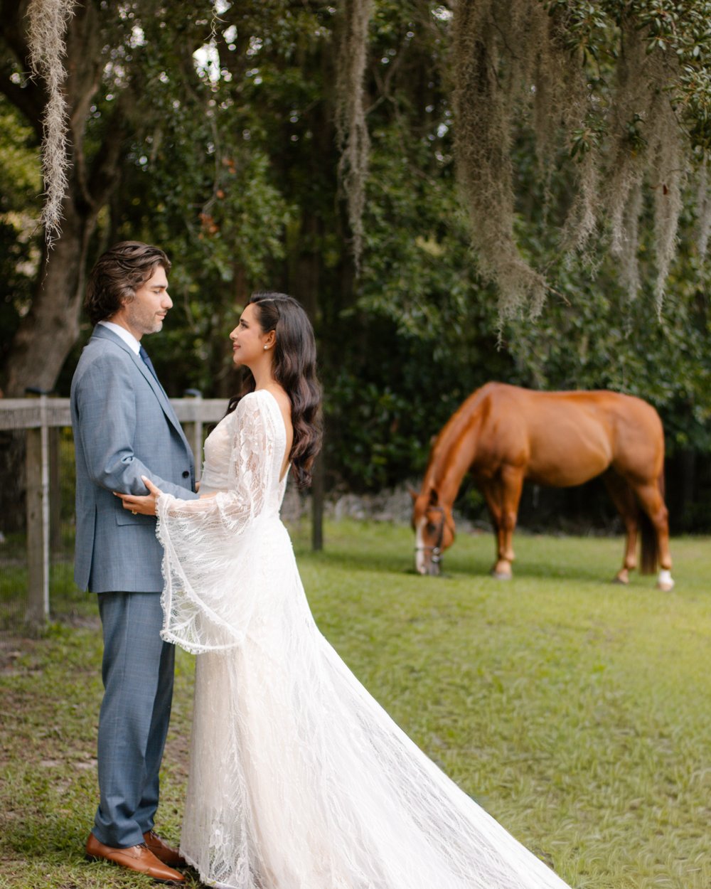 Bride and groom in a grassy field under live oaks as a chestnut horse grazes nearby